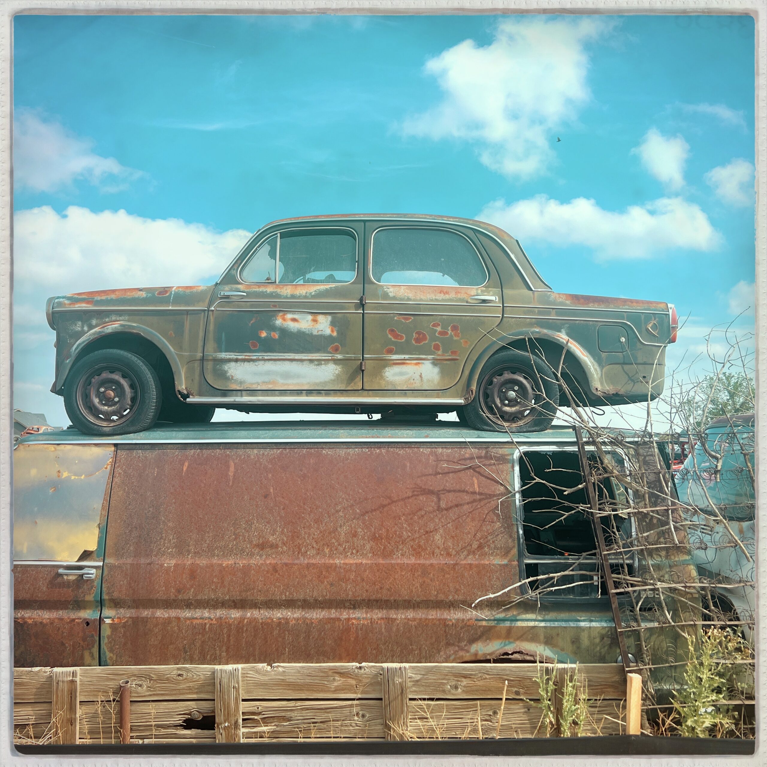 VW Junkyard Erie, Colorado | Beth Photography | Boulder County 