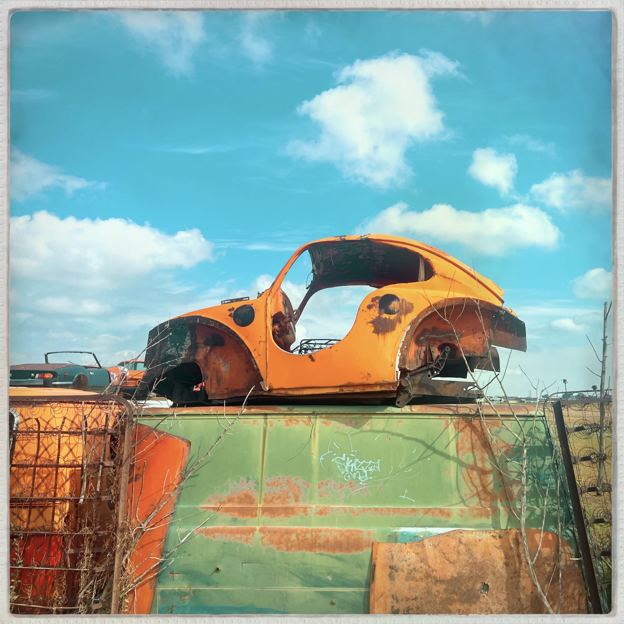 Junk Volkswagen Art | Erie, Colorado | Beth Photography | Boulder County 