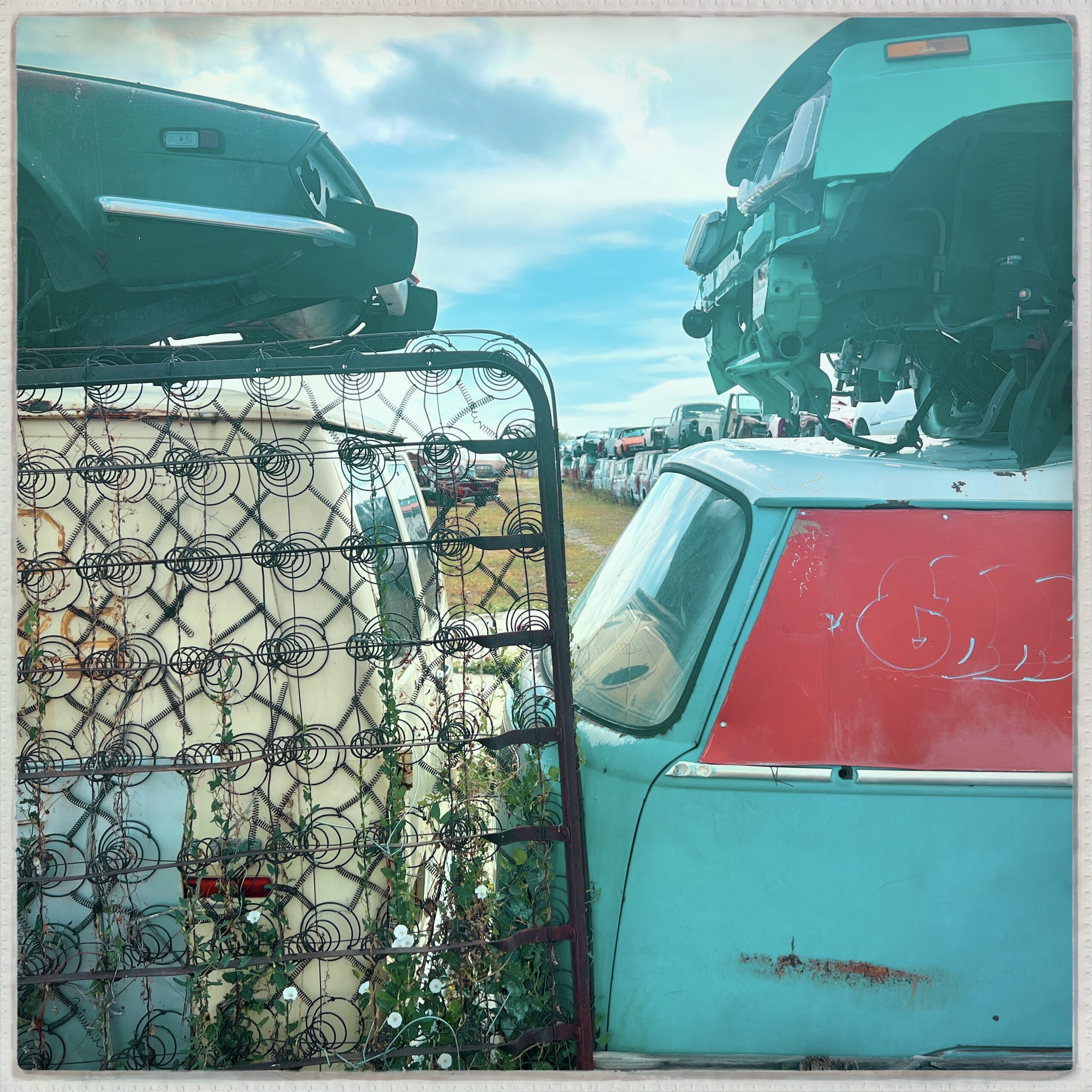 Junk Volkswagen Wall | Erie, Colorado | Beth Photography | Boulder County 