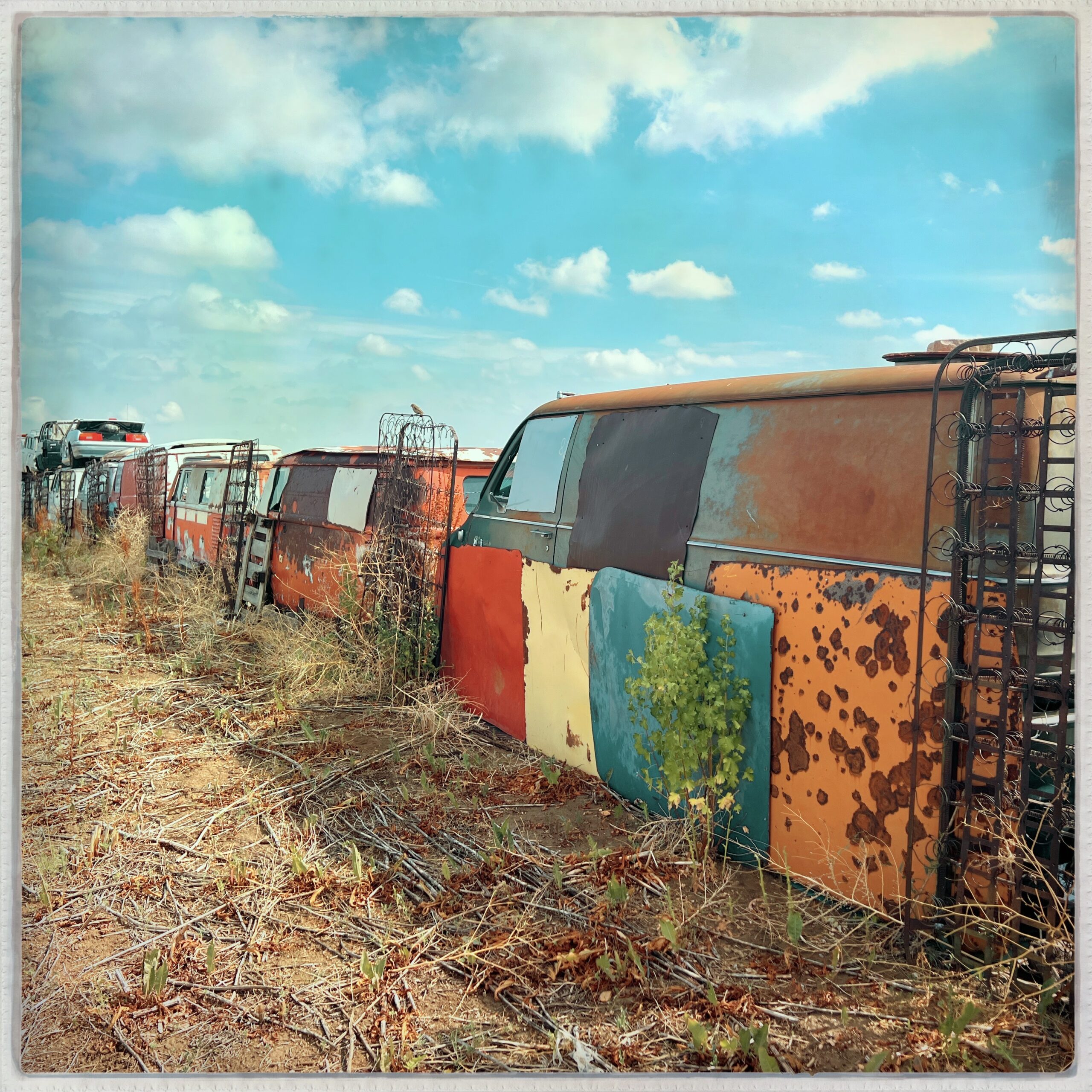 One man's junk is another man's treasure | Erie, Colorado | Beth Photography | Boulder County 